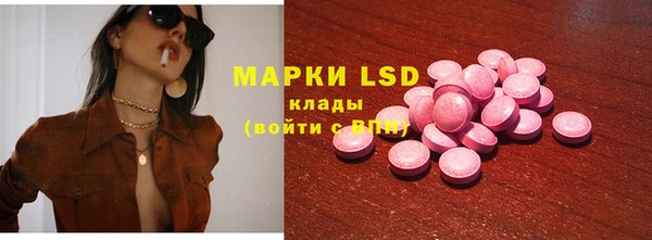 прущие грибы Белокуриха