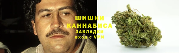 прущие грибы Белокуриха