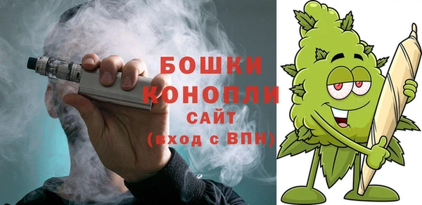 прущие грибы Белокуриха