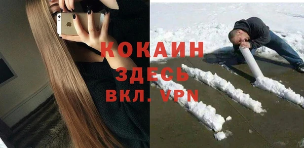 прущие грибы Белокуриха