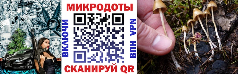 Галлюциногенные грибы Psilocybe  купить наркотики цена  Верхняя Пышма 